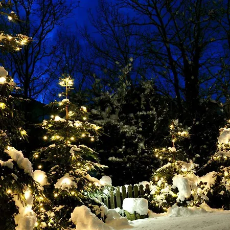 Park Il Poggio 3* Montone (Abruzzo)