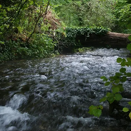 Park Il Poggio מלון Montone (Abruzzo)