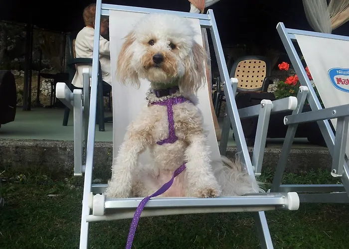 Ξενοδοχείο Park Il Poggio Montone (Abruzzo)