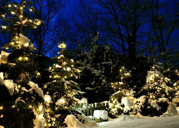 Park Il Poggio 3* Montone (Abruzzo)